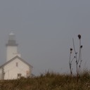 Bretagne_2014-4782