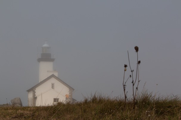 Bretagne_2014-4782